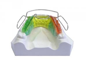 Bionator